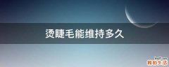 烫睫毛能维持多久
