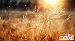 晚上肚子胀痛是怎么回事