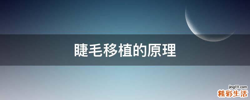 睫毛移植的原理