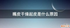 嘴皮干燥起皮是什么原因
