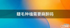 睫毛种植需要麻醉吗
