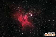 5 男性壮阳食品荟萃！