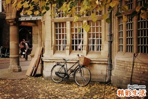 牛奶也不宜多饮