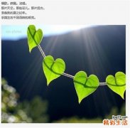 2 冬季吃十种菜能暖胃益肺