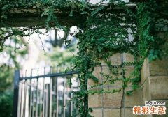 4 冬季吃火锅当心七个误区