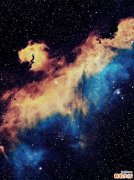 专家谈论溃疡性结肠炎