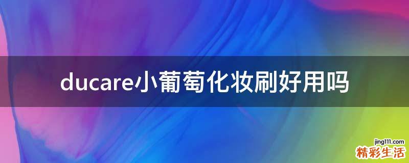 ducare小葡萄化妆刷好用吗