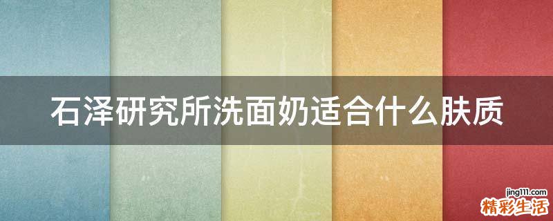 石泽研究所洗面奶适合什么肤质