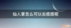 仙人掌怎么可以去痘痘呢