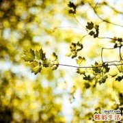 做瑜伽前需要热身吗