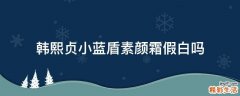 韩熙贞小蓝盾素颜霜假白吗