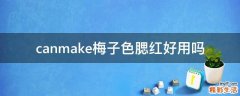 canmake梅子色腮红好用吗