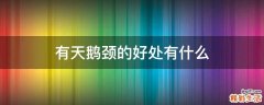 有天鹅颈的好处有什么