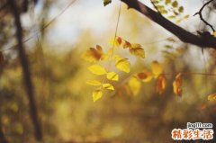 心烦气躁吃什么