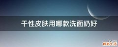干性皮肤用哪款洗面奶好