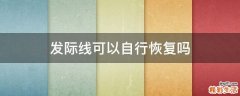 发际线可以自行恢复吗