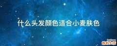 什么头发颜色适合小麦肤色