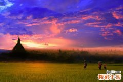 4 五款适宜冬季养生汤