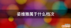 姿维雅属于什么档次