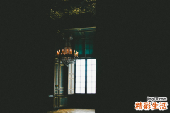 白毛藤
