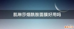 肌琳莎烟酰胺面膜好用吗