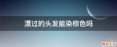 漂过的头发能染棕色吗