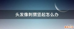 头发像刺猬竖起怎么办
