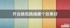 开合跳和跳绳哪个效果好