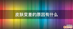 皮肤变差的原因有什么