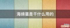 海绵蛋是干什么用的