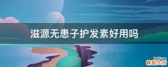滋源无患子护发素好用吗