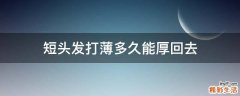短头发打薄多久能厚回去
