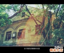 2 中医食疗高血压