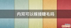 内双可以嫁接睫毛吗