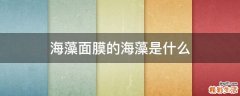 海藻面膜的海藻是什么