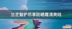 兰芝智护尽享防晒霜清爽吗