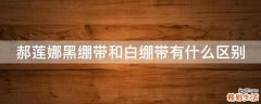 郝莲娜黑绷带和白绷带有什么区别