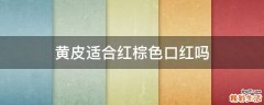黄皮适合红棕色口红吗