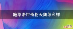 施华洛世奇粉天鹅怎么样