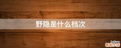 野隐是什么档次