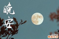 40句 朋友圈晚安心语2023