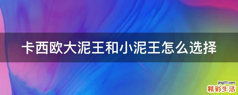 卡西欧大泥王和小泥王怎么选择