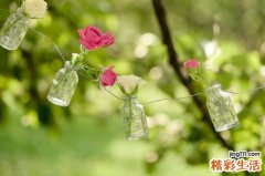 肺功能检查
