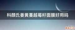 科颜氏姜黄蔓越莓籽面膜好用吗