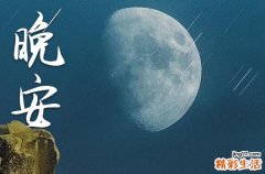 晚安心语2023：发朋友圈温馨的句子