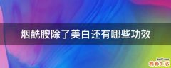 烟酰胺除了美白还有哪些功效