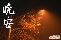 晚安心语203朋友圈短句 适合晚上发的好句子