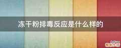 冻干粉排毒反应是什么样的