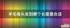 羊毛卷头发到哪个长度最合适