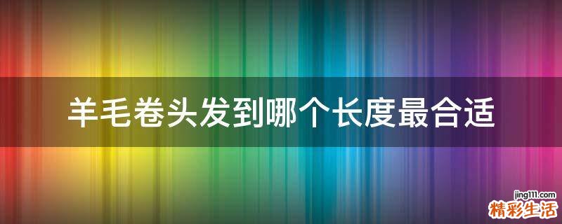 羊毛卷头发到哪个长度最合适